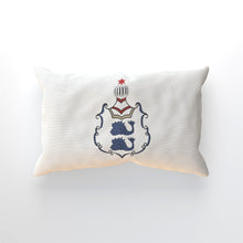 Load image into Gallery viewer, Brighton Football Club (R.F.U.) Cushion